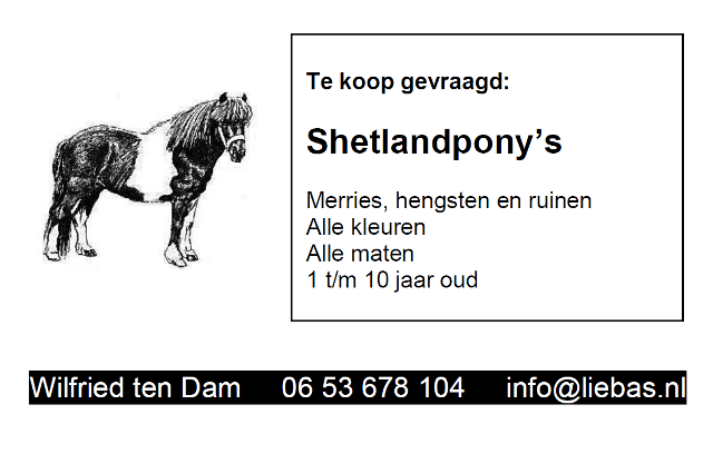 Liebas Shetlandponystal - koop